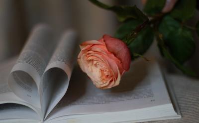 2�������ҵ��m���Լ��ķ���