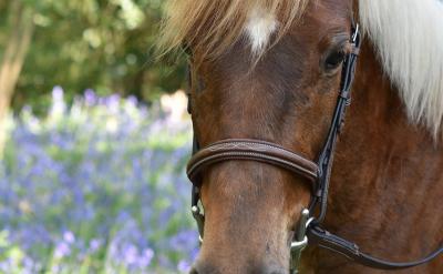 8����ٗ����Щ�M��˼�룿