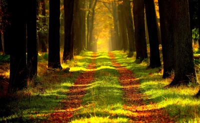 ƪ5���x���}���}����