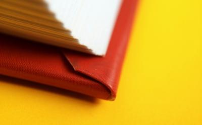 父母應(yīng)該意識(shí)到,雖然他們希望孩子能夠?qū)ψ?..