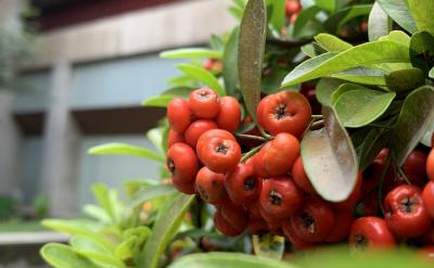 制定合理的游戲時間規劃