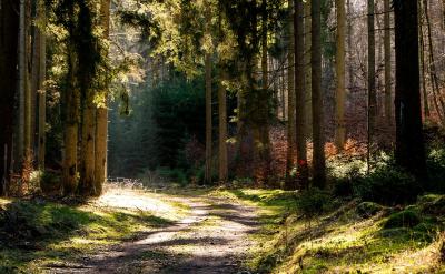 經(jīng)常變換新鮮的話題