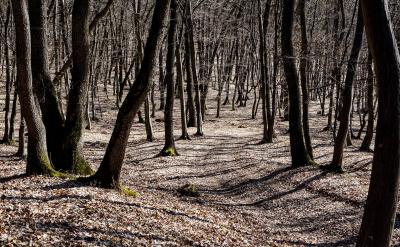 ���@Щָ��ԭ�t���{�����x��С�W�Z�Ľ̌W��...