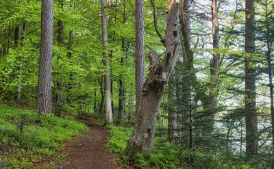 �c�ώ���ͬ�W��ͨ