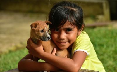 4. W(xu)I(y)I(y)l(f)չ裺Ƣܕ...