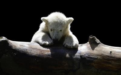 對了,如果你現在還在糾結“到底要不要刷題...