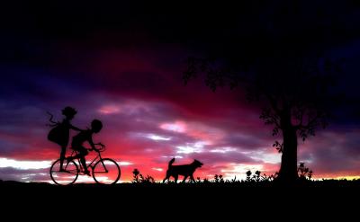 ÿ�����Ӷ�ֵ����