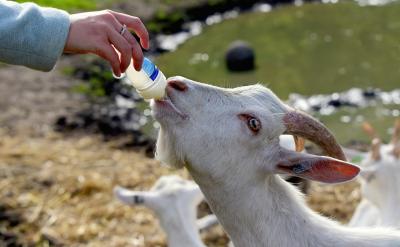 實習讓我的思想逐漸成熟,行為收斂了許多,...