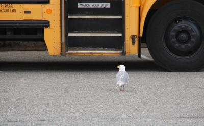 培養(yǎng)自信心是關鍵