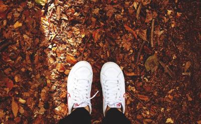 3、利用課本總結和歸納,掌握地理學習的規...