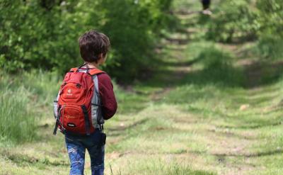 ��Щ���Ӹ������ڞ��y���ܵ����������