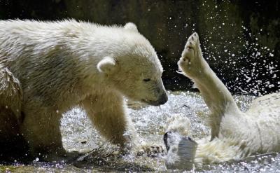 一個有助于孩子備考的家庭環境至關重要。這...