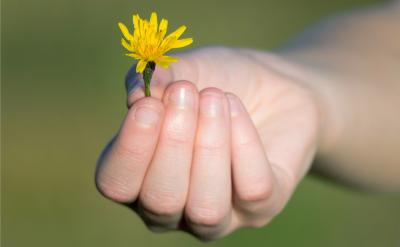 篇13:高考復(fù)習(xí)沖刺計劃