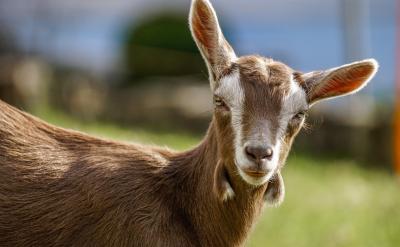 考試結(jié)束之后,考場外面就開始熱鬧起來了。...