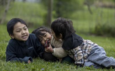 5. 󌣘I(y)ӵƢ↖}(yn)...