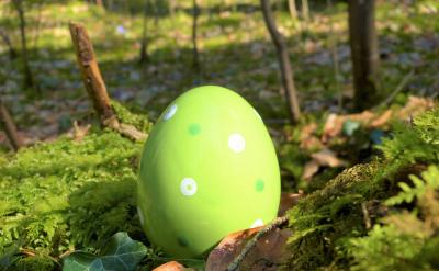 ������һλ�ɾ��ć�������