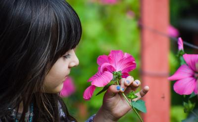 如果知識是珍珠,那么線索就是將珍珠串起來...
