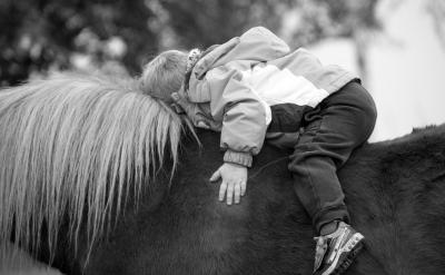 篇3:高三英語復習策略與技巧