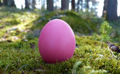 5�����c��̖�����_���\�þ�̖����̖���D̖...