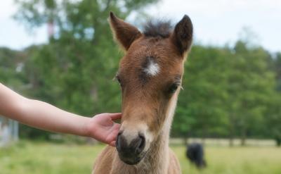 2.�W������������