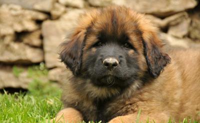 父母不應該過于付出