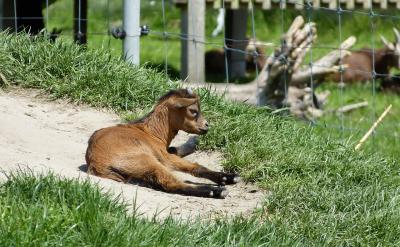 三、提高效率、抓落實