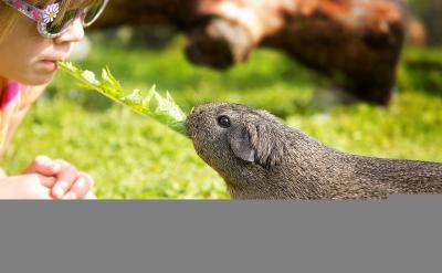  2. 󌣘I(y)ĸ֮gĆ}o...