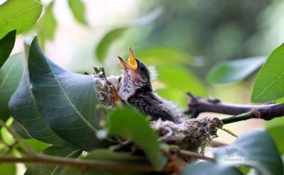 �����x��ӣ������п��}����ģ��ö������y...