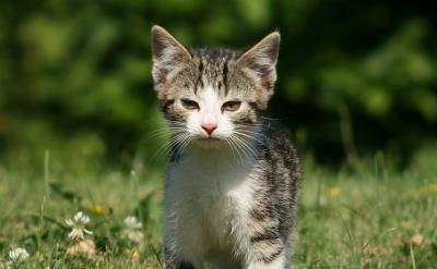 3. 無(wú)形的贊美,潤(rùn)物細(xì)無(wú)聲