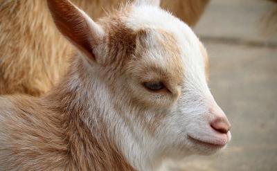 培養孩子良好衛生習慣的方法