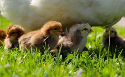 1���WУ���ý������������������xʽ��...