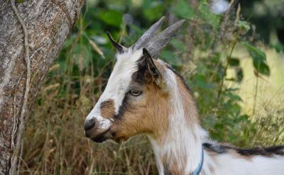 ���˽��v�����挍�������ӵ��زġ��ڌ����r...