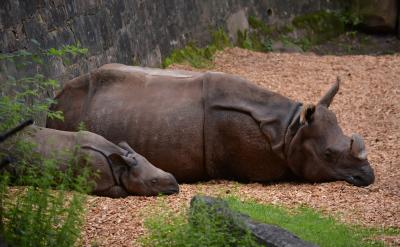 世紀老人冰心說過:讀書好,好讀書,讀好書...