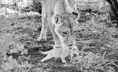 @һAĸ׷ĵڶe`...