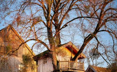 (五)適當懲罰與獎勵:正負反饋并舉,塑造良好習慣