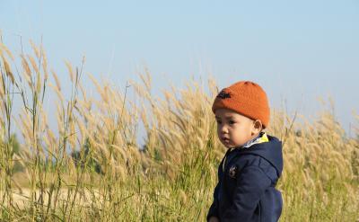 適度的自由和責任