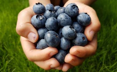 ߔ(sh)WWЧW߀ԓW...