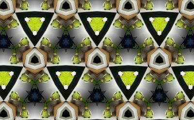 ���ӣ���Ԫǰ313�ꡪ��Ԫǰ238�꣩�Ǒ���ĩ...