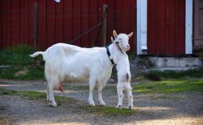 �����������·�������V���đ�(y��ng)�ã���๦...