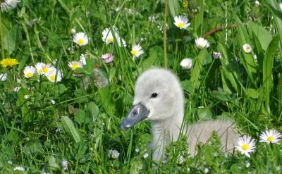 ____________________...