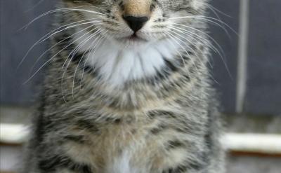 2����У�ο�