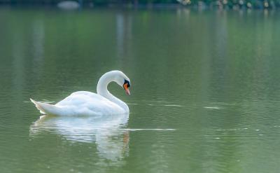 塑造正確的學習態度