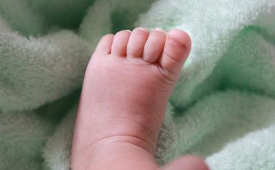 5���̌W�ʂ��Ҫ�� (�̾ߜʂ䣺�猢�̿ƕ�...