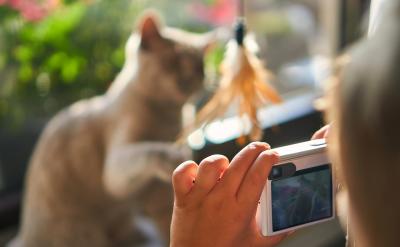 ���^����ͨ������߀��횰���ĸ���ĸ�ɂ�...