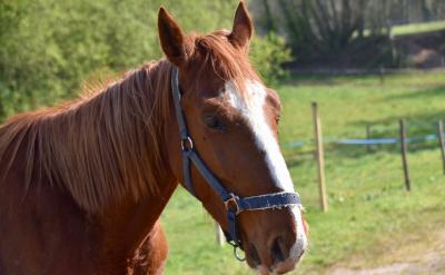 7. 適度關心和關注孩子。過度的關心和關注...