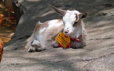 ֻ���Լ����ڡ���硱�W(xu��)��(x��)�������`�С��W(xu��)��...