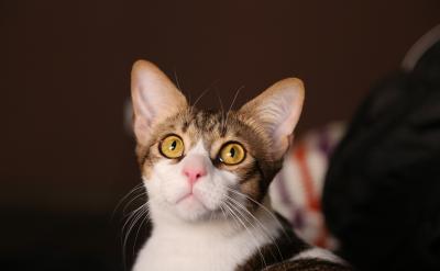 篇13:高考數學復習重點與策略