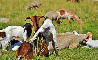 �˴����ڌW(xu��)��(x��)�W(xu��)��(x��)��(n��i)�ݰ����S������Ҫ����ȫ...