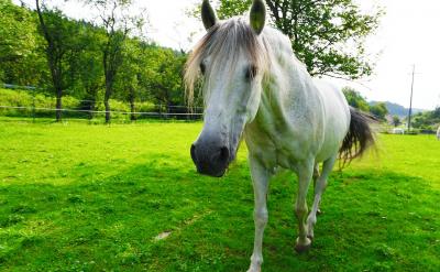 4. 熱愛冒險,追求刺激