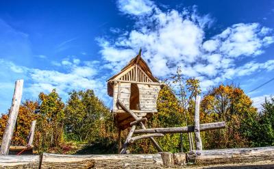 2. �̌W���L�����̄e������õČW����ʽ